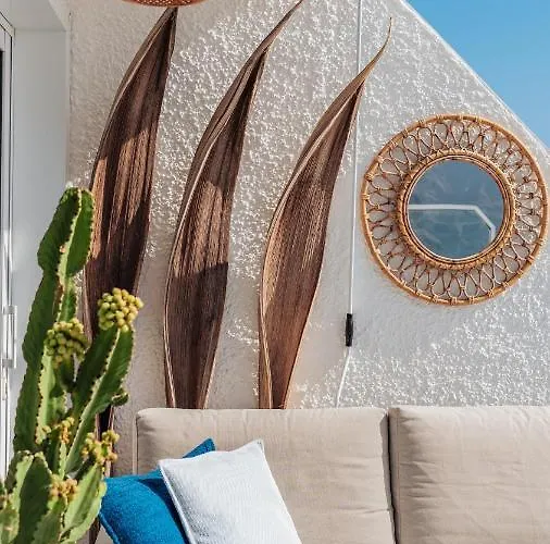 Zama Tamara 아칸티라도