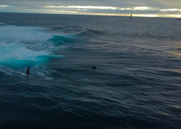 Zama Tamara Διαμέρισμα Acantilado de los Gigantes
